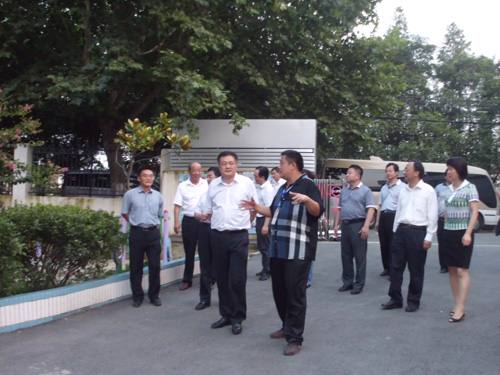 县委副书记程莉,陈刚主任,江淮副县长及城关镇黄振军书记