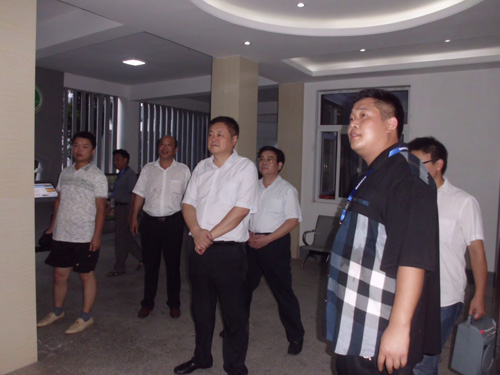 县委副书记程莉,陈刚主任,江淮副县长及城关镇黄振军书记