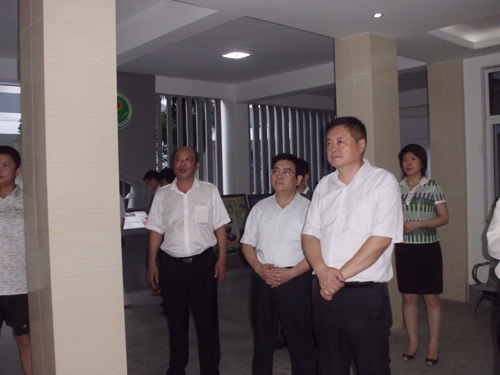 县委副书记程莉,陈刚主任,江淮副县长及城关镇黄振军书记